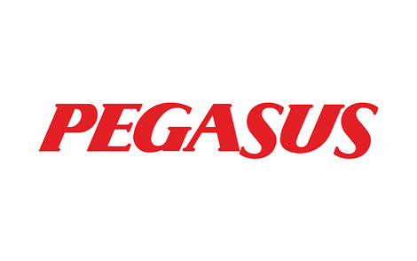 Pegasus